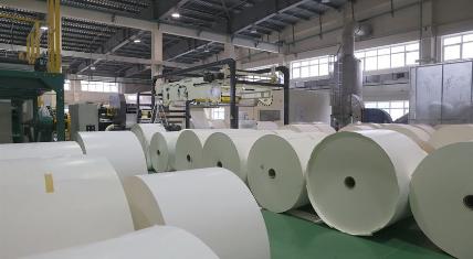 Производство продукции Добрушской бумажной фабрики выросло в 2023 году на 14%