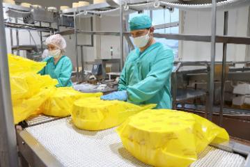 Беларусь в мировом рейтинге по производству сыров на душу населения опередила страны Европы