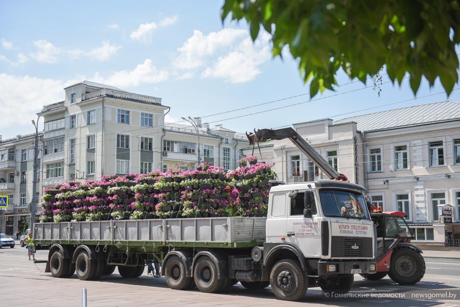 news_2022-06-13-озеленение.jpg