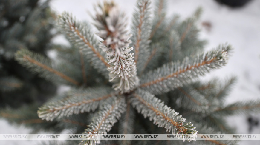 news_2022-12-13-НГпослеМельникова.jpg
