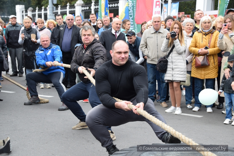 news_2022-09-10-ДГ-самые сильные.jpg