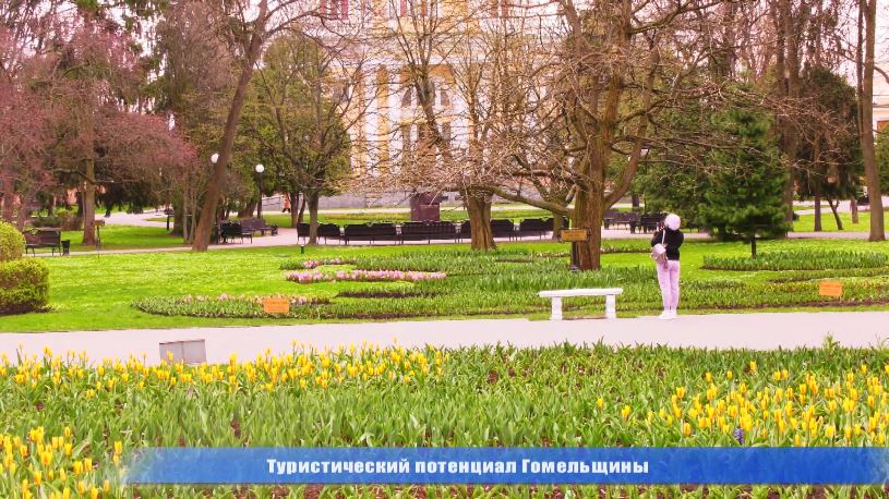 news_2023-04-18-растительность.jpg
